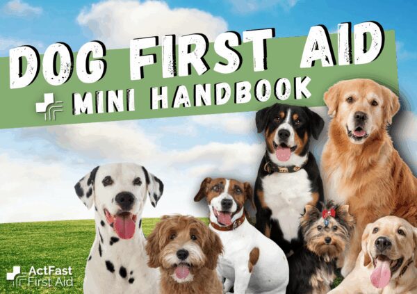 Dog First Aid Mini Handbook